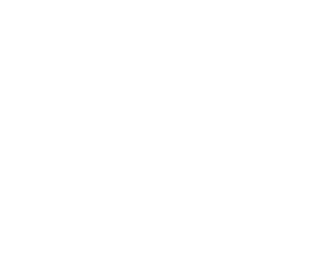 logo white p